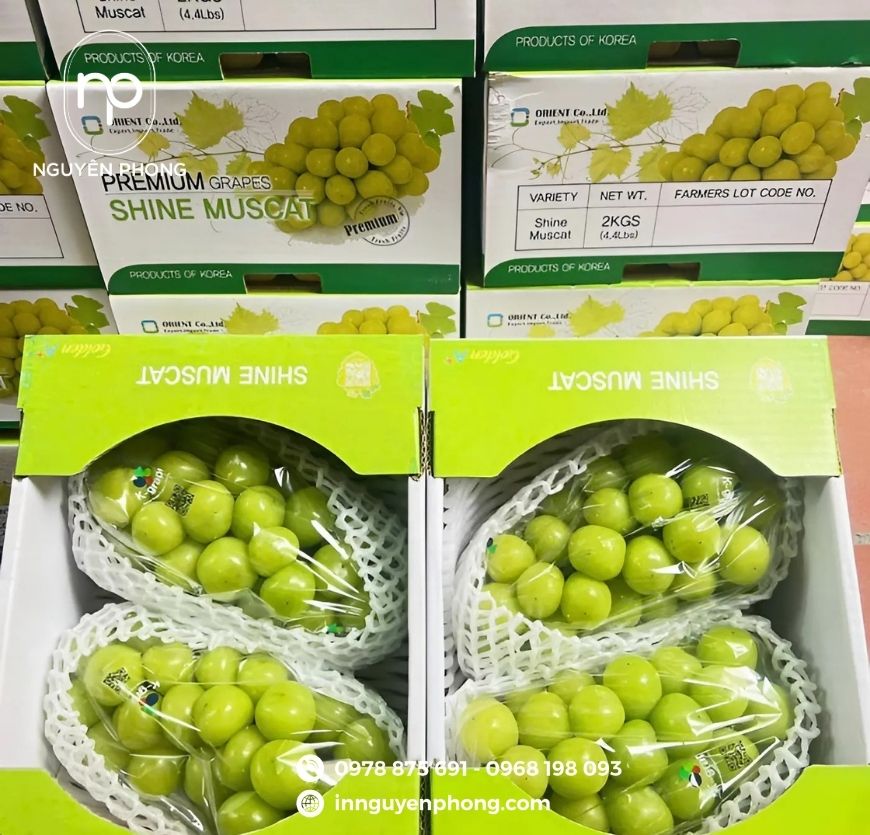 Mẫu thùng carton đựng nho